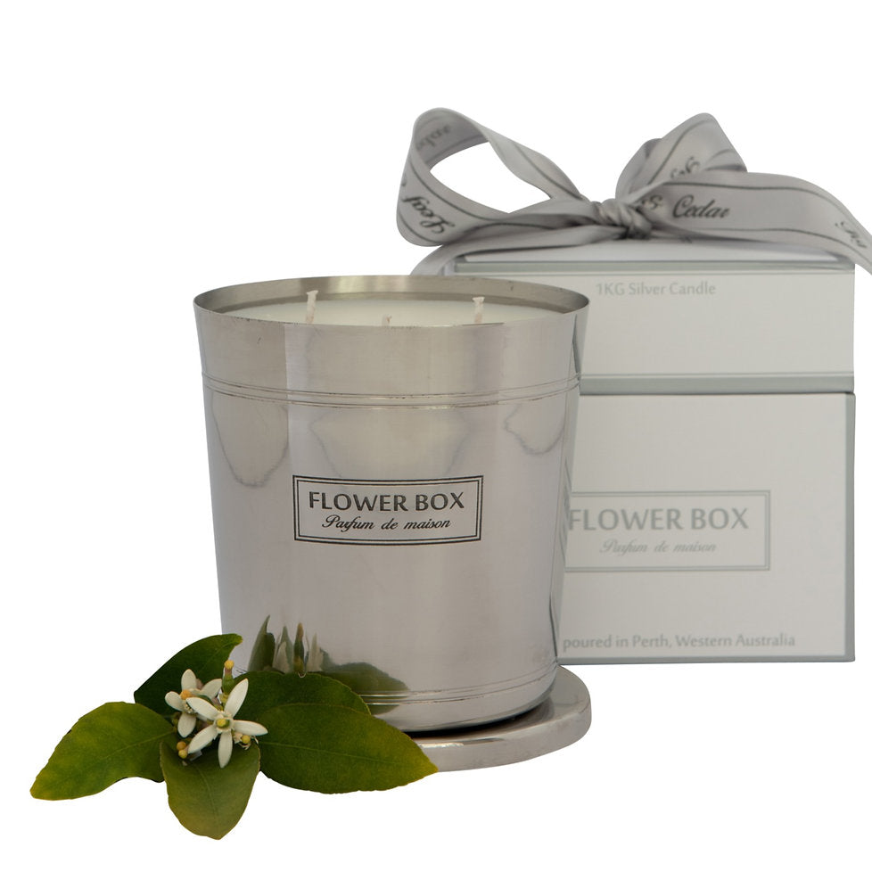 Hallmark Candle - Fig Leaf & Cedar (1kg)