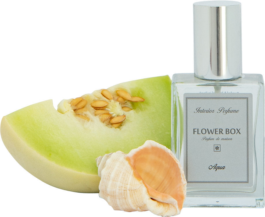 Interior Perfume Spray - Aqua (100mL)
