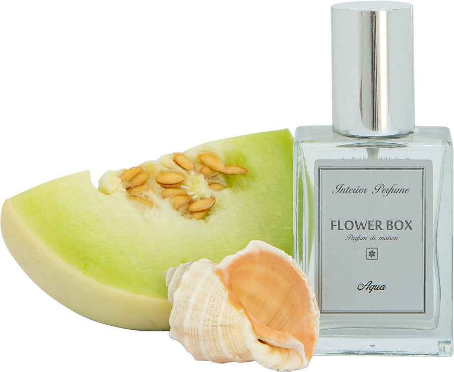 Interior Perfume Spray Aqua - 100mL