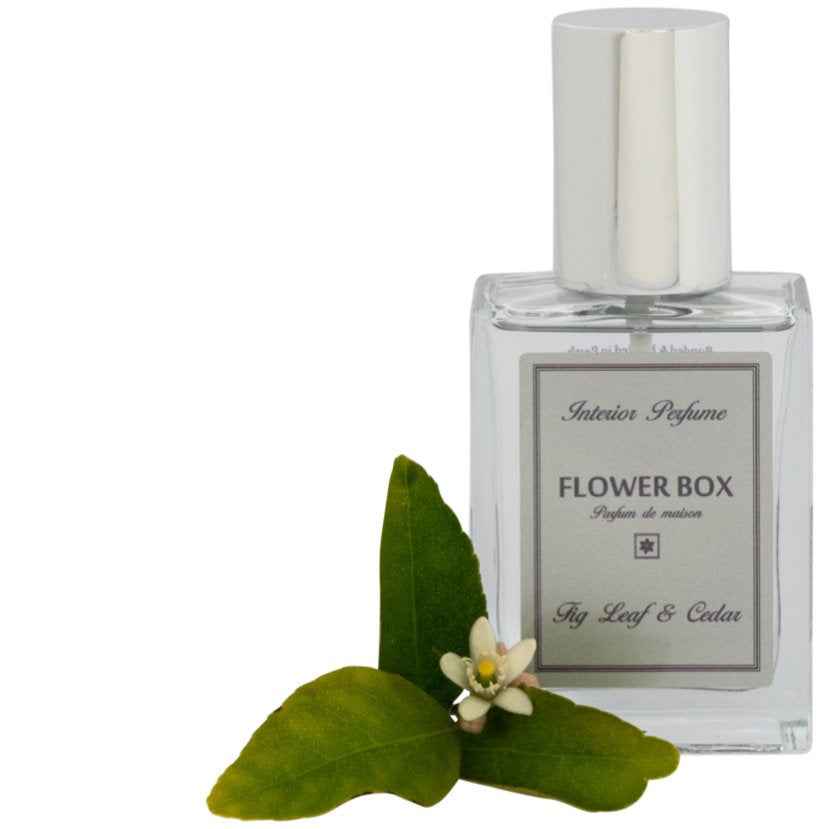 Interior Perfume Spray Fig Leaf & Cedar - 100mL