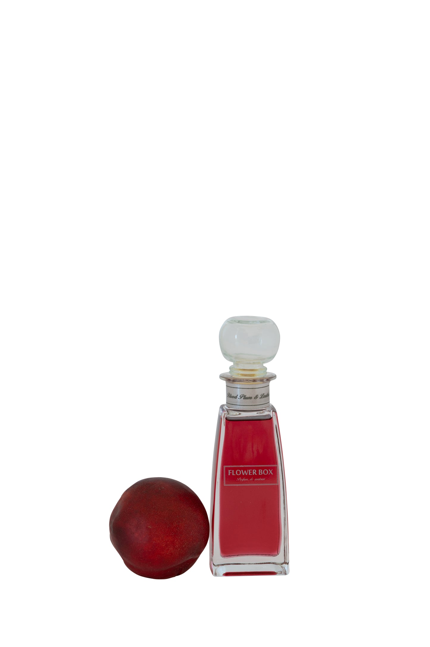 Mini Diffuser - Blood Plum & Leather (100mL)