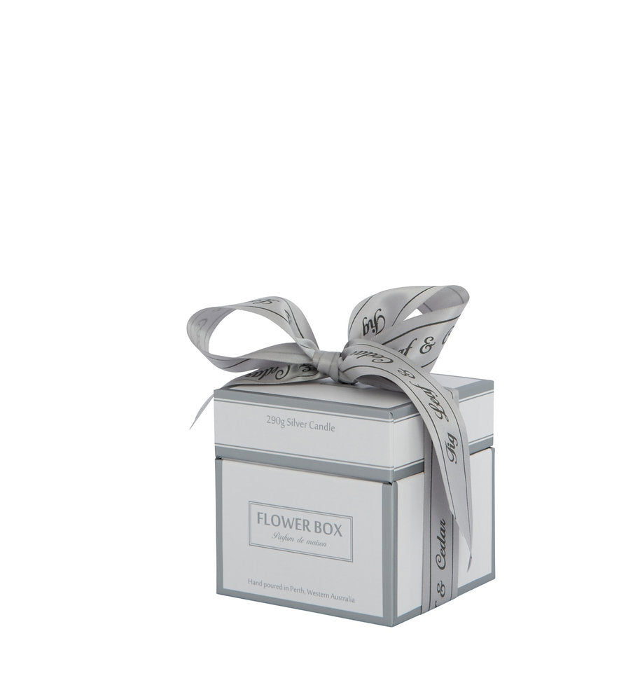 Standard Candle - Fig Leaf & Cedar (290g)