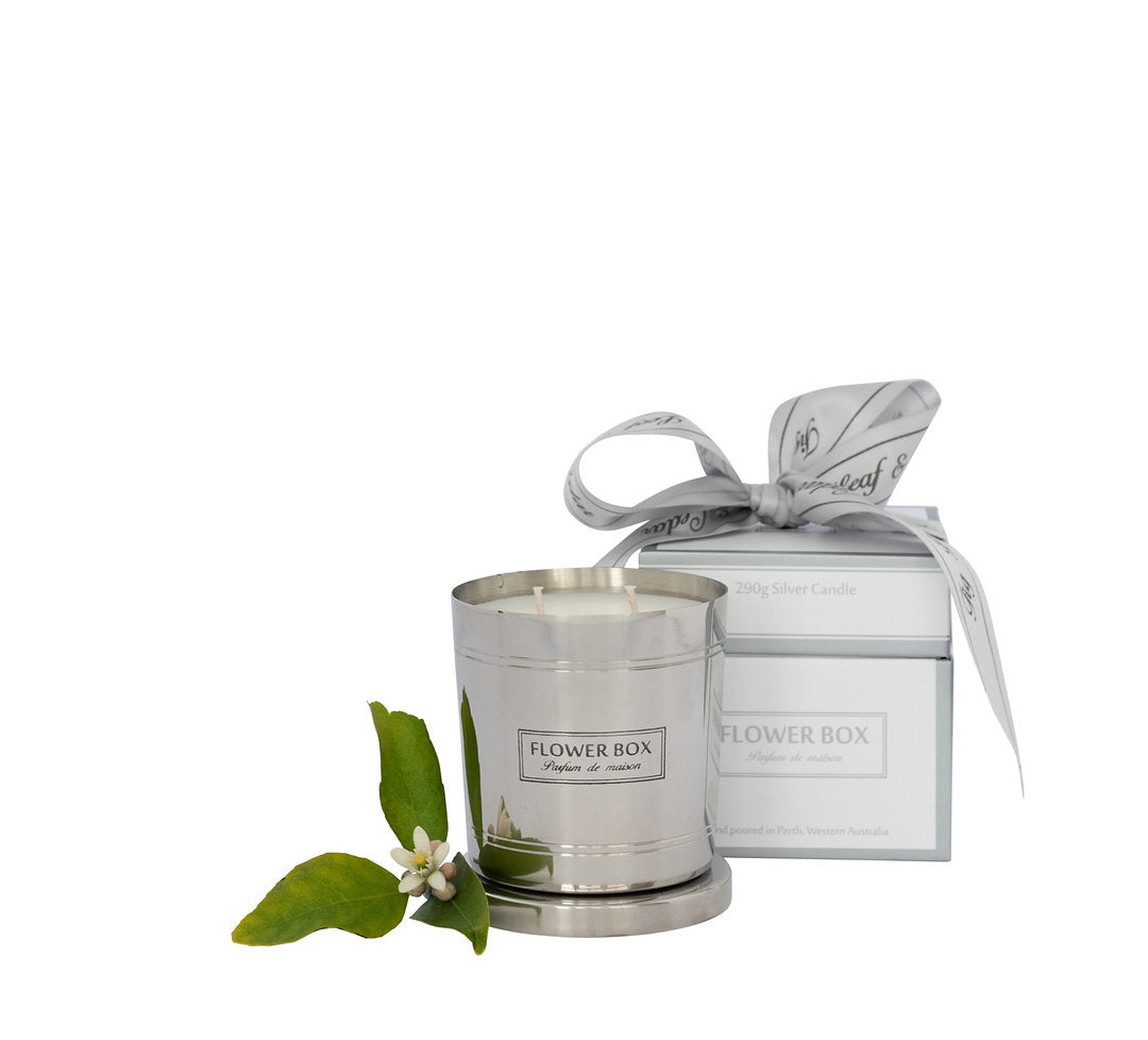 Standard Candle - Fig Leaf & Cedar (290g)