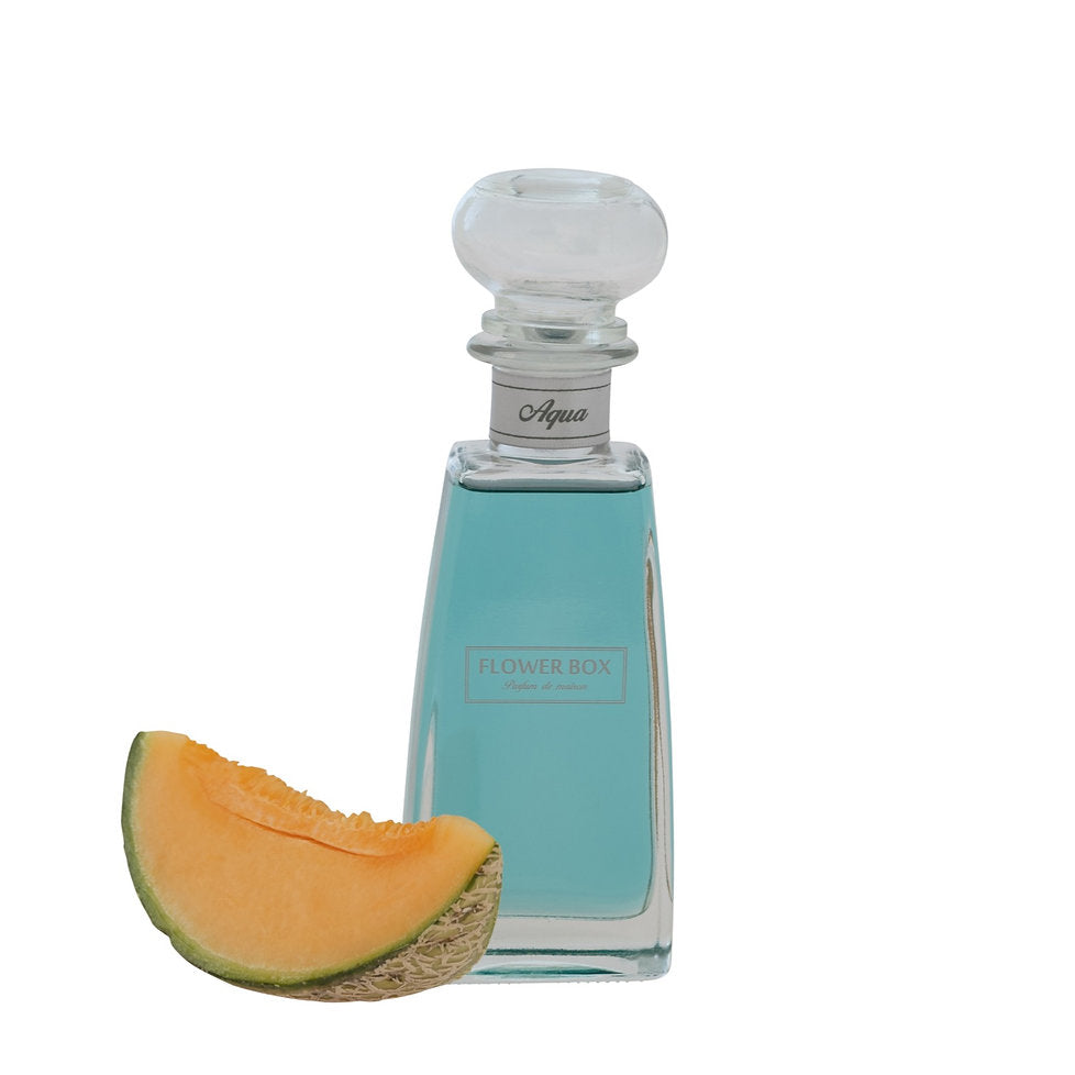 Standard Diffuser - Aqua (210mL)