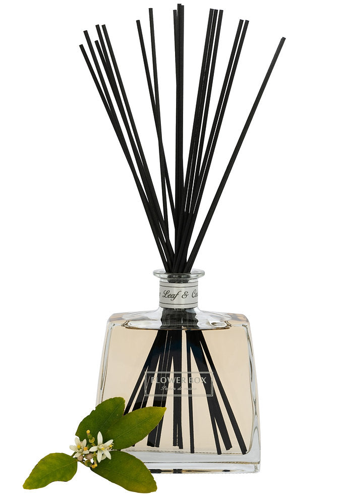 Hallmark Diffuser - Fig Leaf & Cedar (700mL)