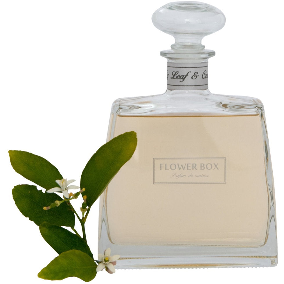 Hallmark Diffuser - Fig Leaf & Cedar (700mL)