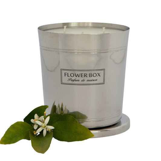 Hallmark Candle - Fig Leaf & Cedar (1kg)