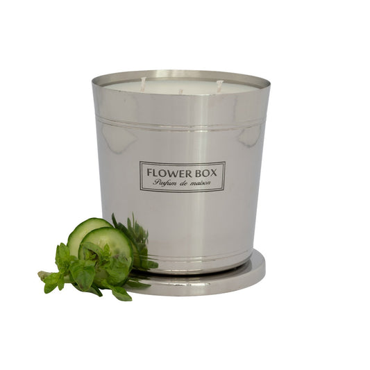 Hallmark Candle - Fresh Lemongrass (1kg)