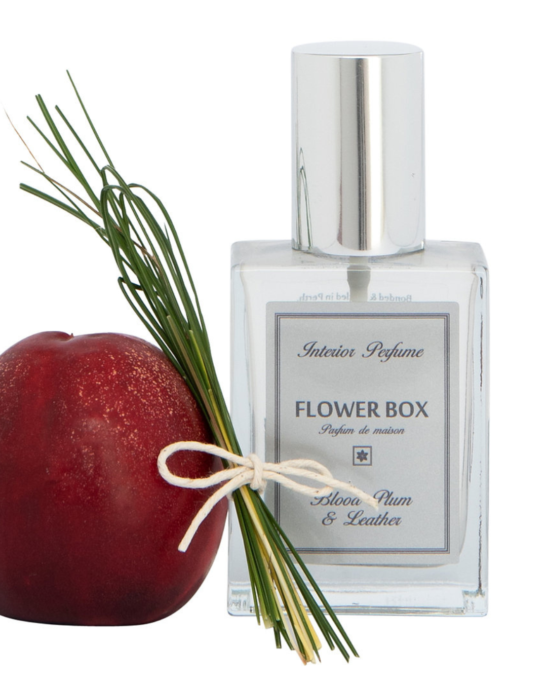 Interior Perfume Spray Blood Plum & Leather - 100mL