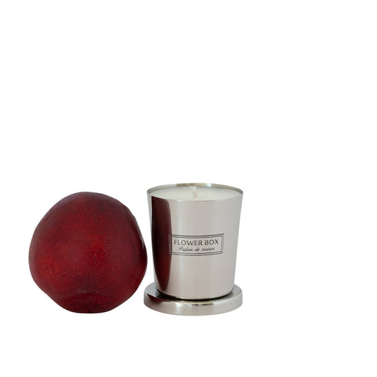 Mini Candle - Blood Plum & Leather (80g)