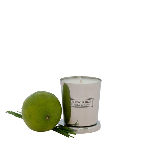 Mini Candle - Fresh Lemongrass (80g)