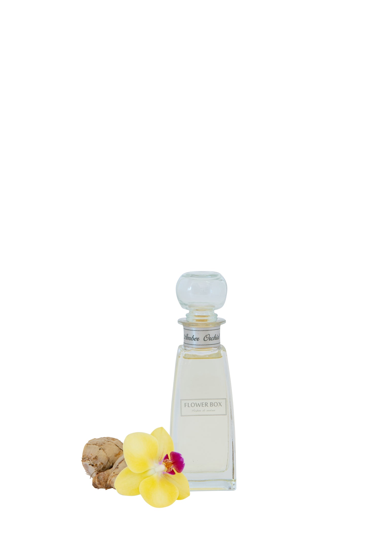 Mini Diffuser - Amber Orchid (100mL)