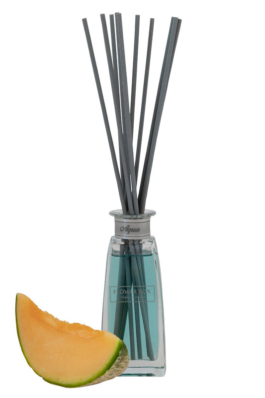 Mini Diffuser - Aqua (100mL)