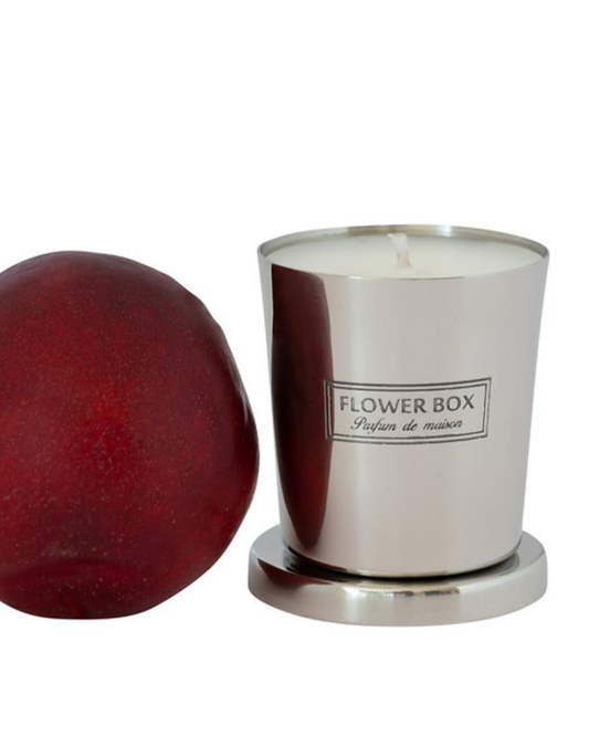 Mini Candle Blood Plum & Leather - 80g