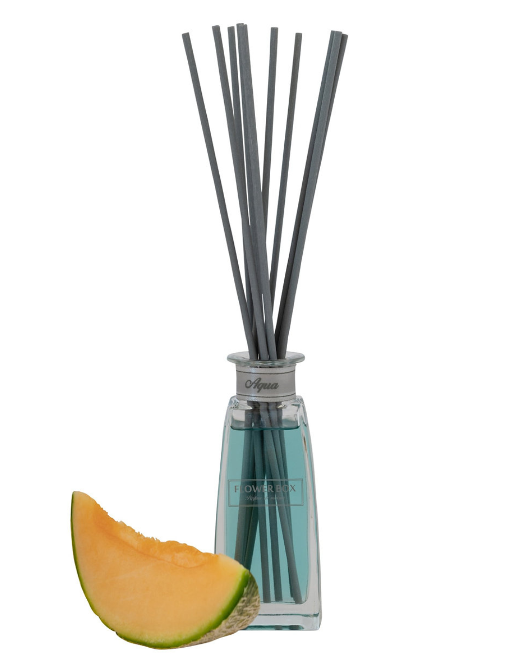 Mini Diffuser Aqua - 100mL