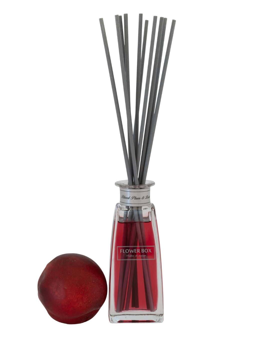 Mini Diffuser Blood Plum & Leather - 100mL
