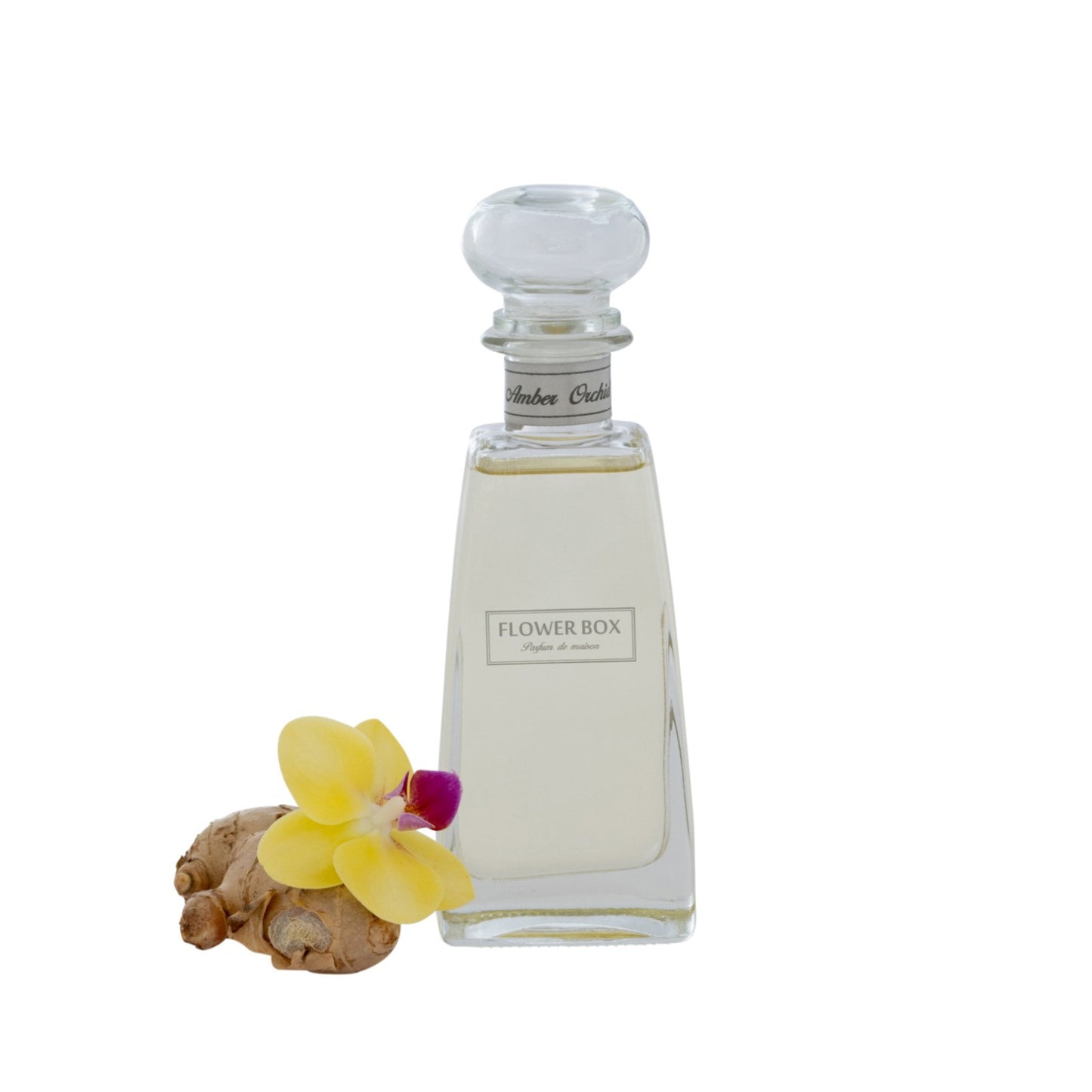 Standard Diffuser - Amber Orchid (210mL)