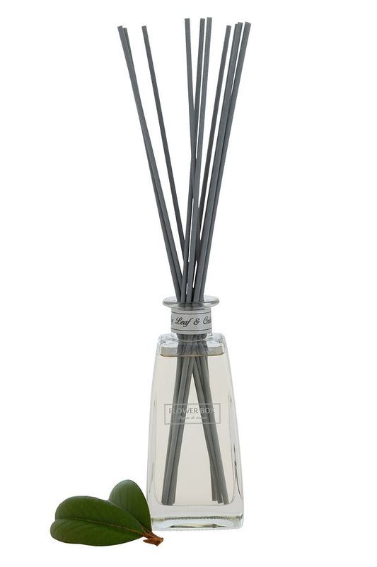 Standard Diffuser - Fig Leaf & Cedar (210mL)