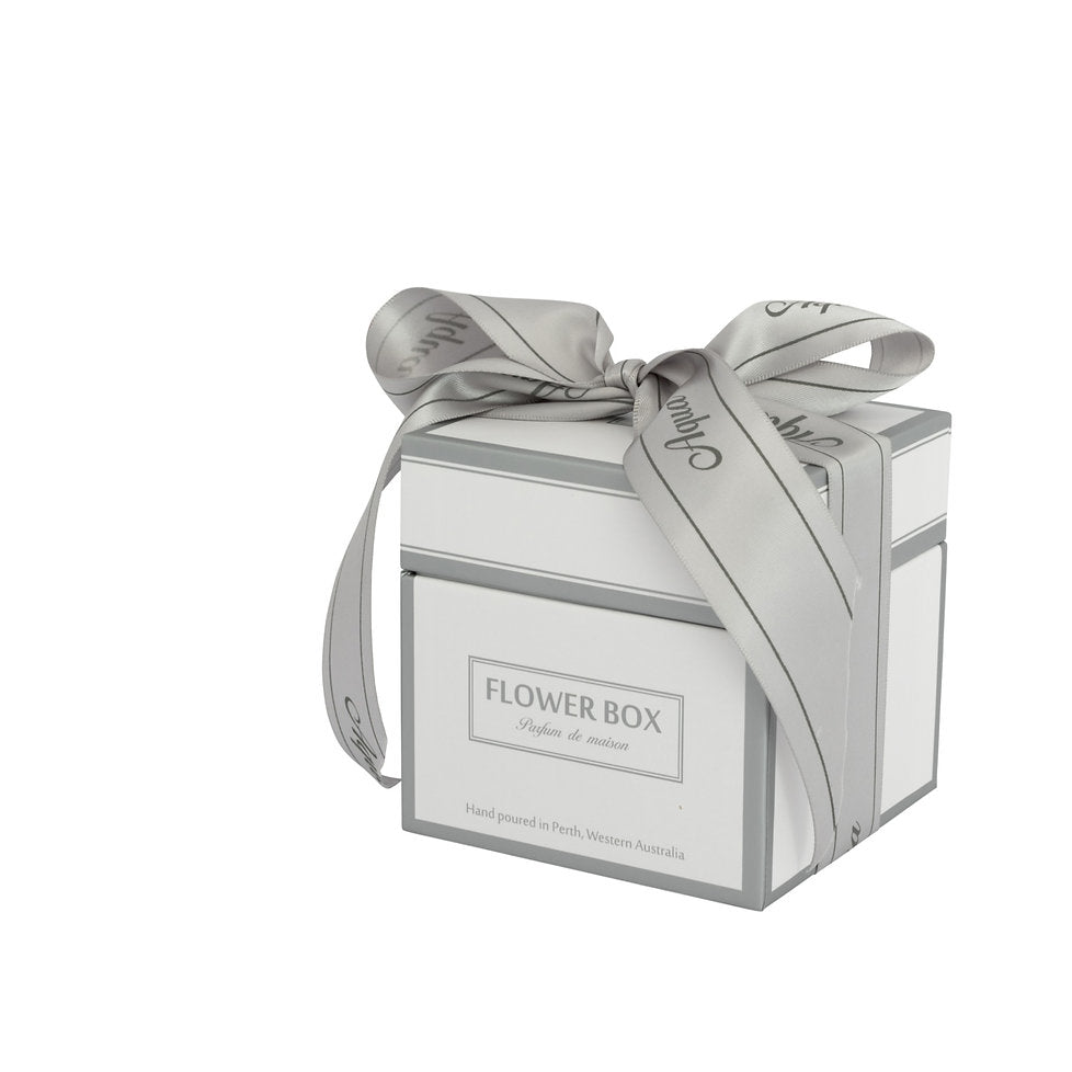Standard Candle - Aqua (290g)