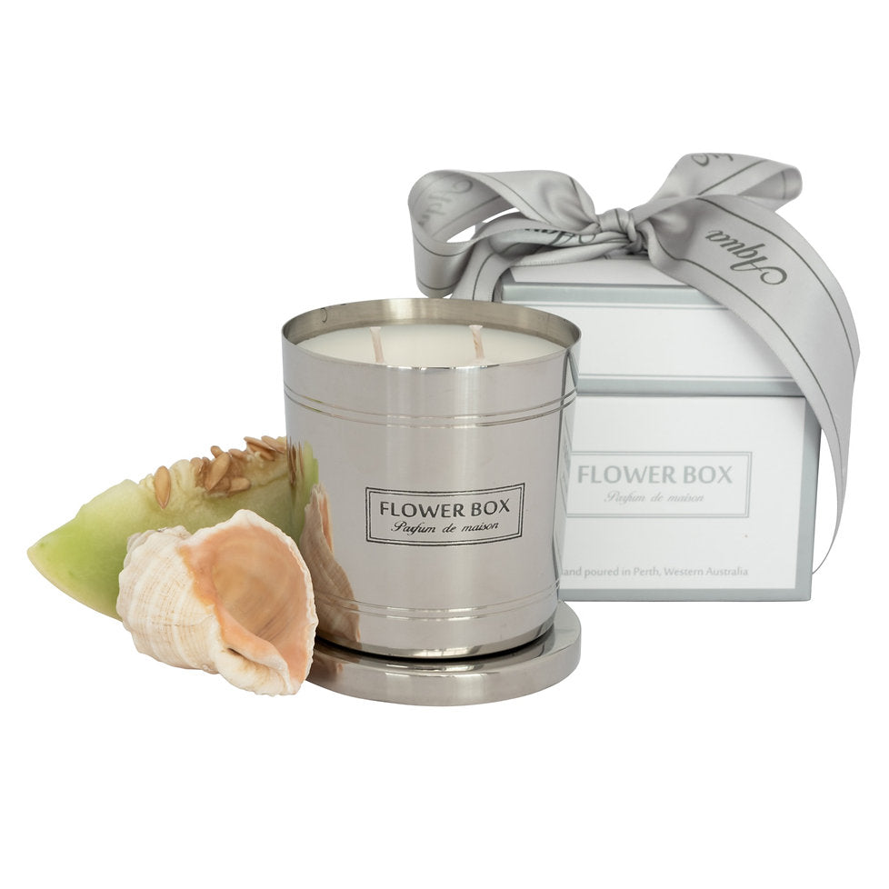 Standard Candle - Aqua (290g)