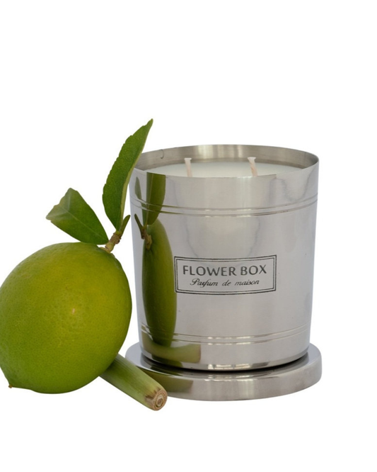 Standard Candle Fresh Lemongrass - 290g