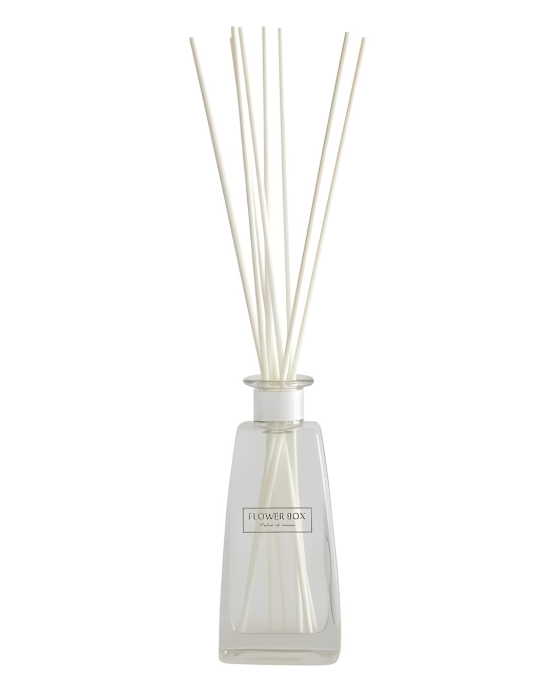 Standard Diffuser - White Rose & Oud Wood (210mL) – Flower Box Singapore